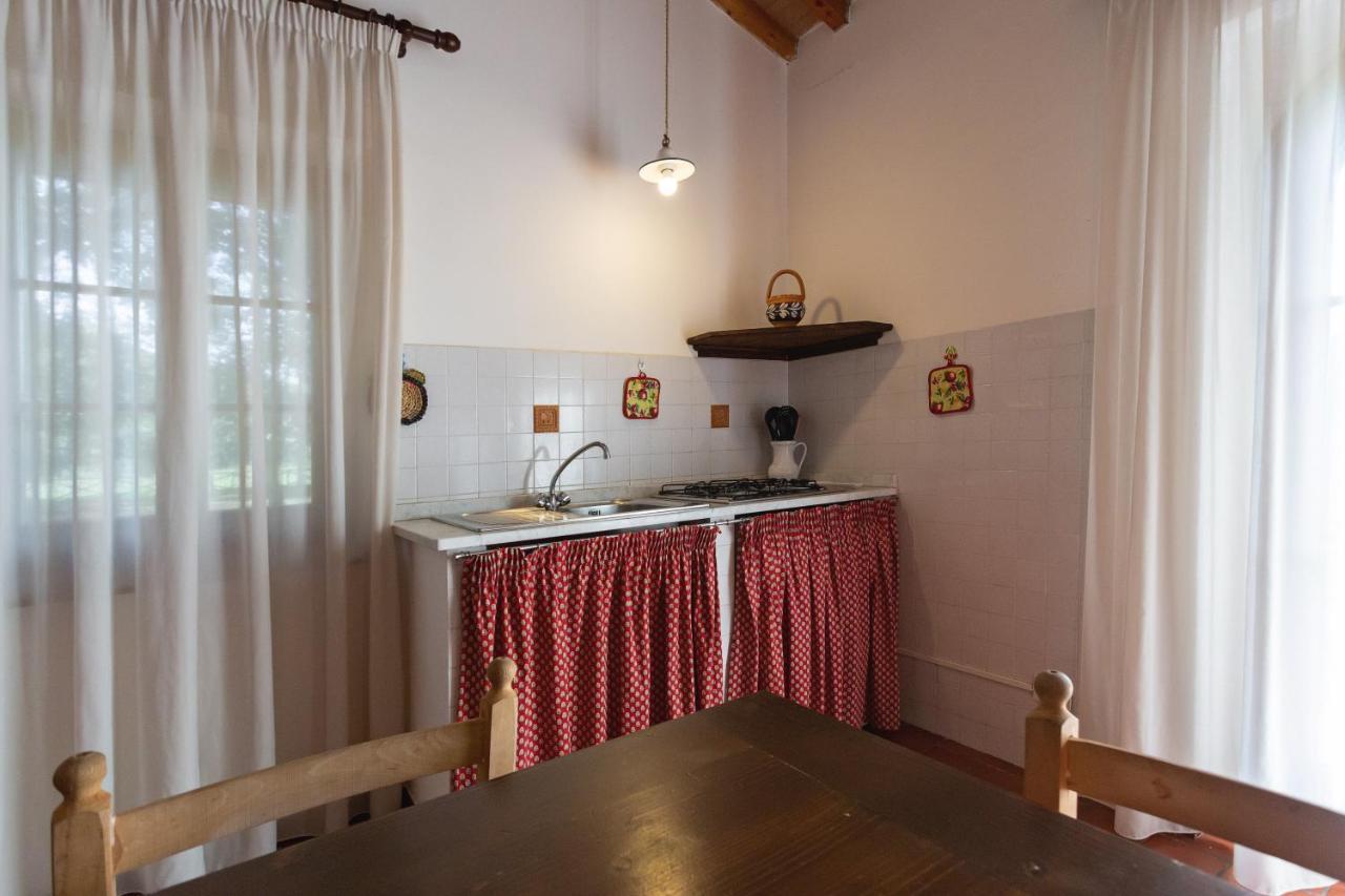 Cottage Il Gabbro Montescudaio Eksteriør billede