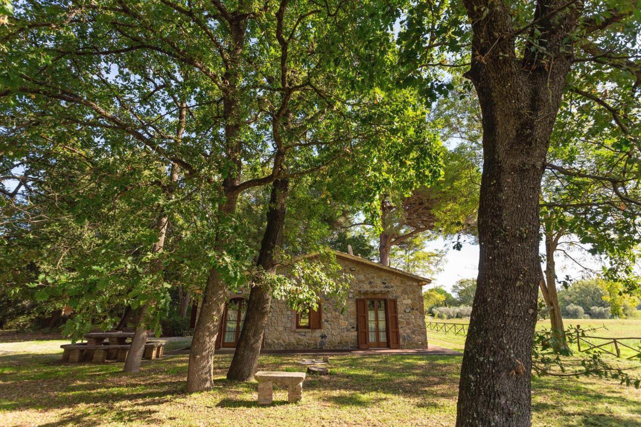 Cottage Il Gabbro Montescudaio Eksteriør billede